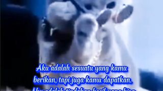 Teka teki lucu 5