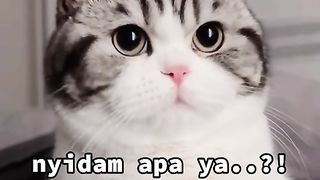 What my mother want it,,,,why i'm so sweet
