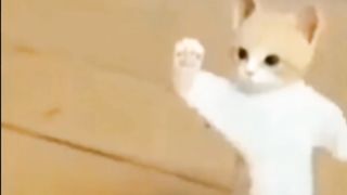 Teka teki lucu 7