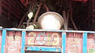 Large plants load on truck @pakistanisairsapatee