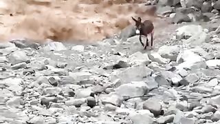 اب وهوا