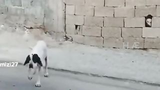 سرگرمی 7