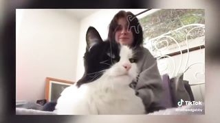 BEST DANK CAT MEMES COMPILATION OF 2020 PART 10 (from TikTok) 5