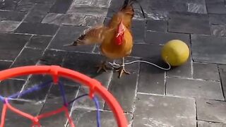 Funny Cock 2