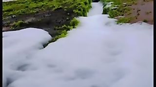 Natural view 7