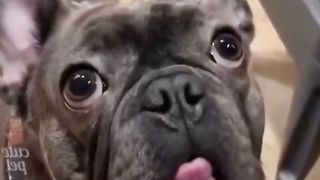 Vidéo drôle 9
