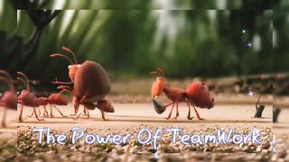 Teamwork and Leadership | Animated short clips | teamwork | leadership | motivation