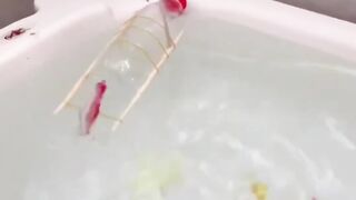 Perahu dari botol plastik bekas