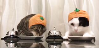 Try Good Food