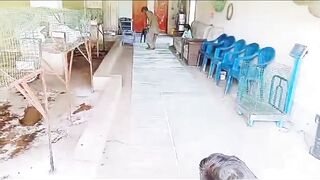 FREE FREE FREE CARGO OFFERED BY JAMI RABBIT FARMING COMPANY OF PAKISTAN