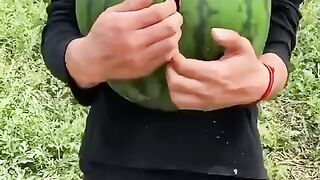 plantations that produce very fresh fruit