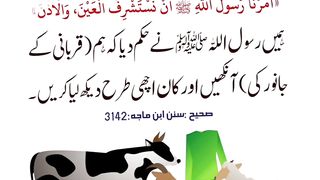 Hadees E Pak S.A.W 12