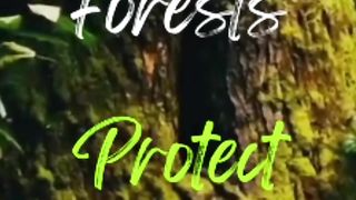 Protect our environment.