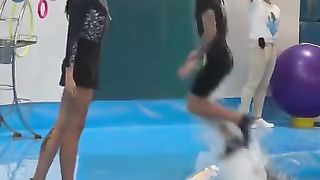 Dolphin and Girls Dance in poll