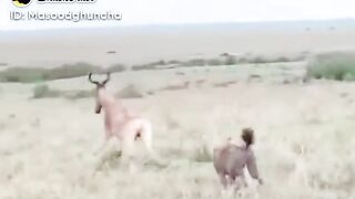 LIFE IN DANGER