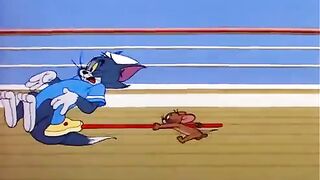 Tom and Jerry cartoon 6