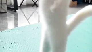 This villain knows kung fu, it's amazing