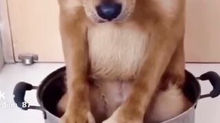 Funny memes 75