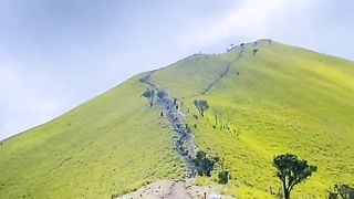Emerald Curtain: Discovering the Hidden Gem of Cibinong