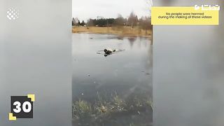 Funny moment 35