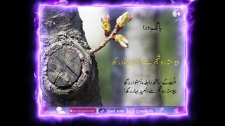 Pawasta Rah Shajar Sa Omeeday Bahar rah|Bang-e-dra| Best Urdu Poetry | kalam-e-iqbal | Iqbaliyat