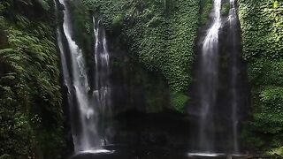 Nature 68