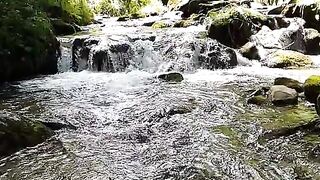 Nature 73