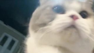 So Cute !! So Funny !!