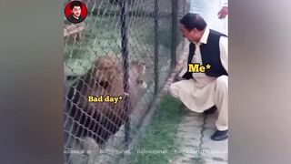 BEST OF JUNE 2023 MEMES