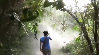 Wild Elephant | Chasing and Attacks | Compilation | Animal Clips