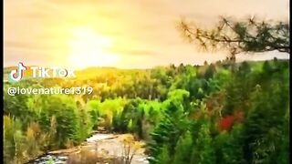 Natural Beautiful Sounds That Everyone Deserves