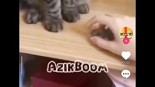 Azik boom