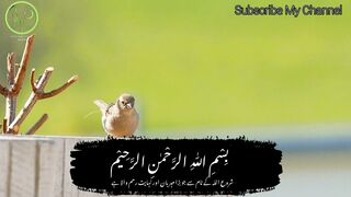 Surah ad duha 2