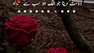 Nowatermark sad poetry video for tik tok