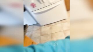 funny cat 31
