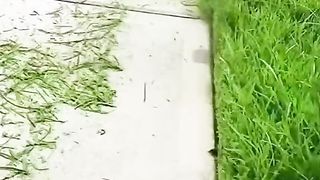 Alat pemotong rumput