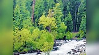 Mansehra Beauty's View KPK Pakistan