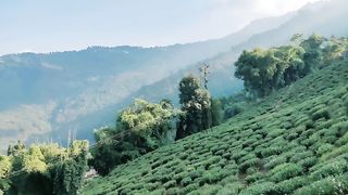 #Nature views. Darjeeling