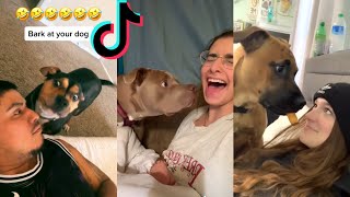 Funny Animal Videos 2023 ???? - Funniest Dogs and Cats Videos ???? #6 3