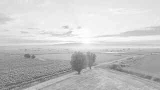 sunrise_fresh transition video
