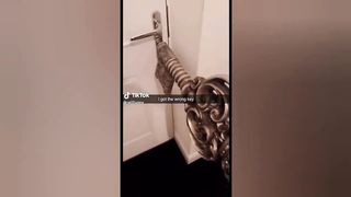 Funny TikToks to erase your boredom