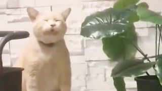 Приколи 55