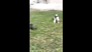 BEST FUNNY CAT VIDEOS 2022- OMG❤️So Cute and Funny Cat Videos!