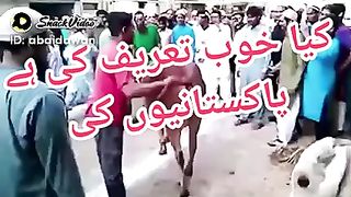 Pakistani nations