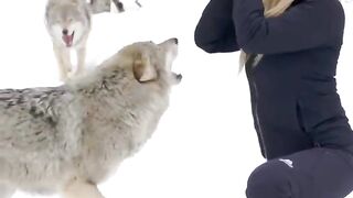 Animal 18