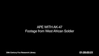 NEVER underestimate A Fallow APE