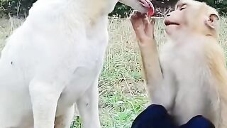 ТікТок 96
