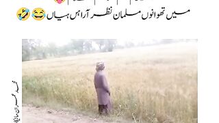 Funny 746