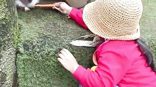 still feeding the rabbit