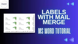 MS Word Label with Mail Merge Command